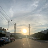 阿拉蕾