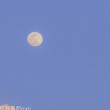 想说实话的人儿