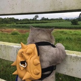 不高兴