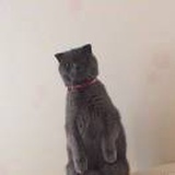 一半是我