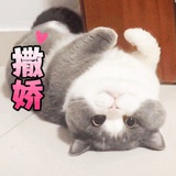 一碗螺狮粉