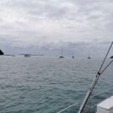 笑里有清风