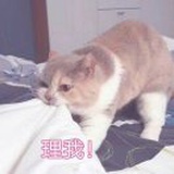 阿玖