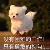 一条大河波浪宽