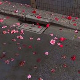 少喝冻饮