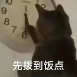 呼呼柯