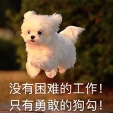 苏打水