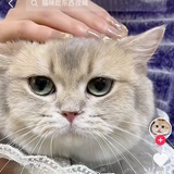莹莹