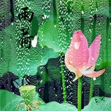 善海