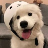 就这样吧