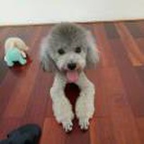 夏天的风