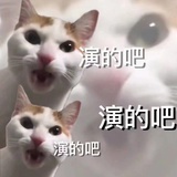烦不烦