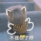 一片菜叶子