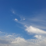 华华
