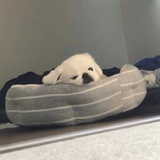 情绪垃圾桶