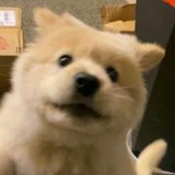 迦叶