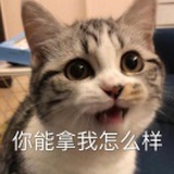 顾免