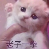 叽叽喳喳08