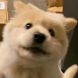 omom