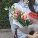 月月吖