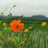芦超