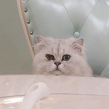 小薇薇