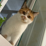 biubiu花