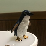 一隻小企鵝