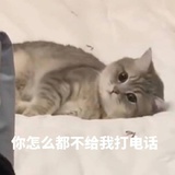 豆友242151574