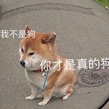 无语了我都
