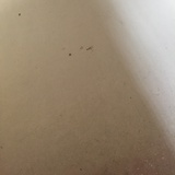 雨中不打伞