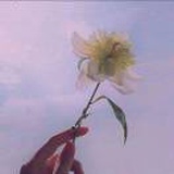欣怡