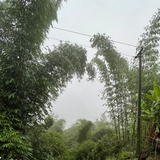 江湖