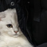 深圳办公室直租