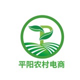 平阳农村电商
