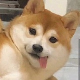 布呐呐