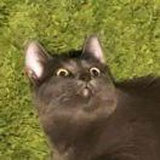 Ƽ