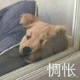 Jan..(已折叠