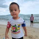 向燕凤