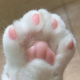 balaba
