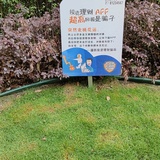 实现财富自由