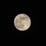 Moonquakes