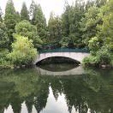 栾广辰