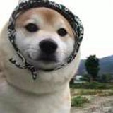 佳二娃