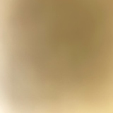 月亮里的桂花树