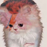 Jimmyaandy