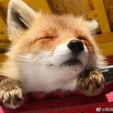 福泥是个嘤嘤怪
