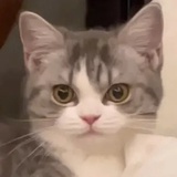 空闲限定