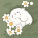 XX不喜欢夏天