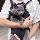 锋锋
